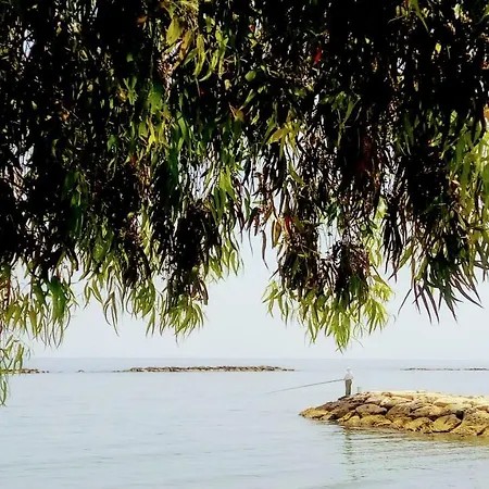 Galatex μaisonette Lemesos